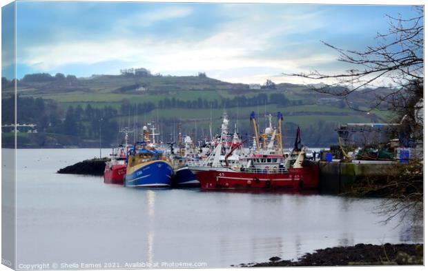 Union Hall Fishing Harbour, Co.Cork, Ireland Canvas Print by Sheila Eames