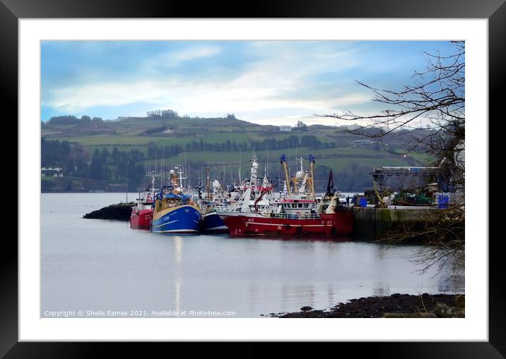 Union Hall Fishing Harbour, Co.Cork, Ireland Framed Mounted Print by Sheila Eames