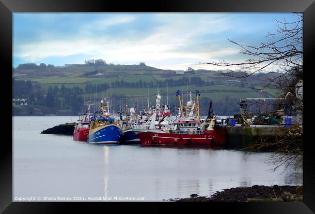 Union Hall Fishing Harbour, Co.Cork, Ireland Framed Print by Sheila Eames