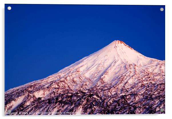 Mount Teide in Twilight Tenerife Acrylic by Mark Sunderland