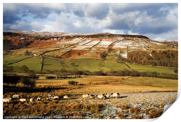 Sheep Grazing in Farndale in Winter Print by Mark Sunderland