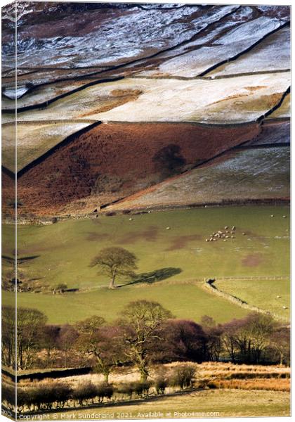 Winter Sunlight Plays on Fields in Farndale Canvas Print by Mark Sunderland