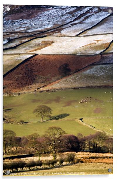 Winter Sunlight Plays on Fields in Farndale Acrylic by Mark Sunderland