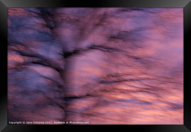 Abstract Sunset and Tree Framed Print by Jane Osborne
