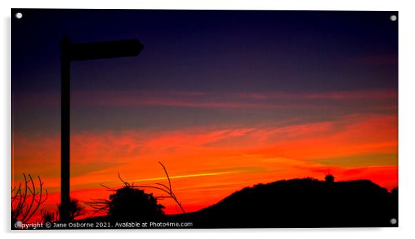 Striking Sunset Acrylic by Jane Osborne
