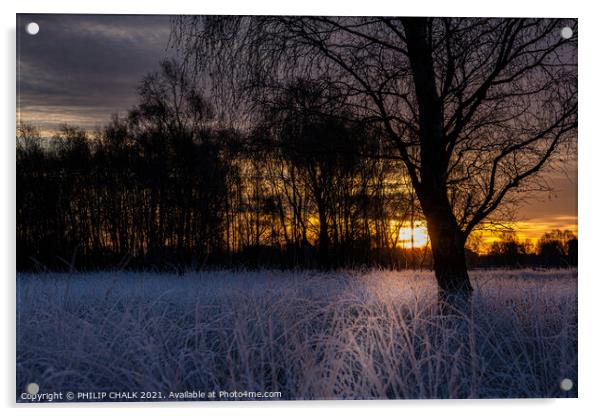 Sunrise on the common 399  Acrylic by PHILIP CHALK