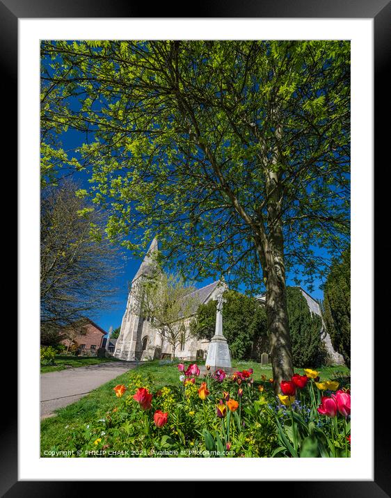 Spring flowers at Huntington church York 400  Framed Mounted Print by PHILIP CHALK