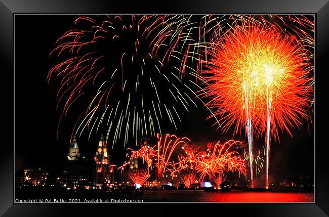 Celebration fireworks Framed Print by Pat Butler