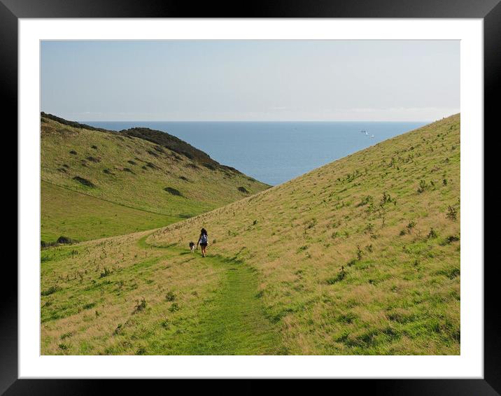 Devon coast walk Framed Mounted Print by mark humpage