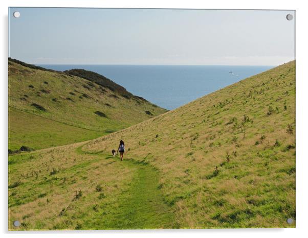 Devon coast walk Acrylic by mark humpage