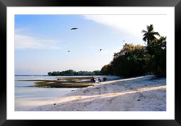 island in the evening Framed Mounted Print by Hassan Najmy