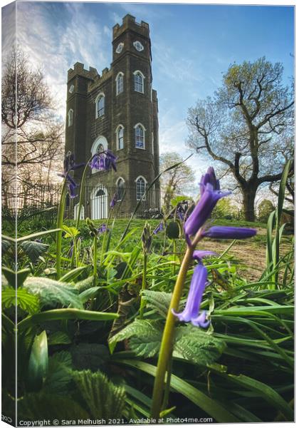 Bluebells and Sevendroog Castle Canvas Print by Sara Melhuish