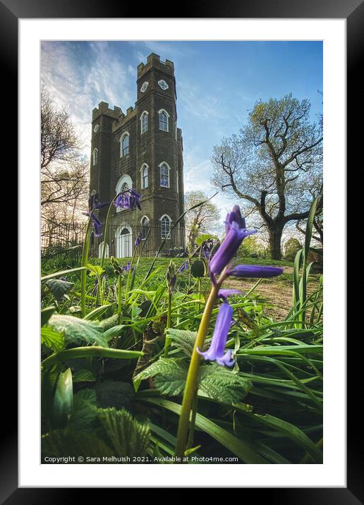 Bluebells and Sevendroog Castle Framed Mounted Print by Sara Melhuish