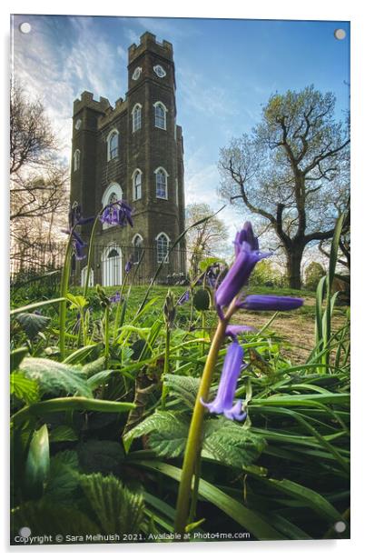 Bluebells and Sevendroog Castle Acrylic by Sara Melhuish