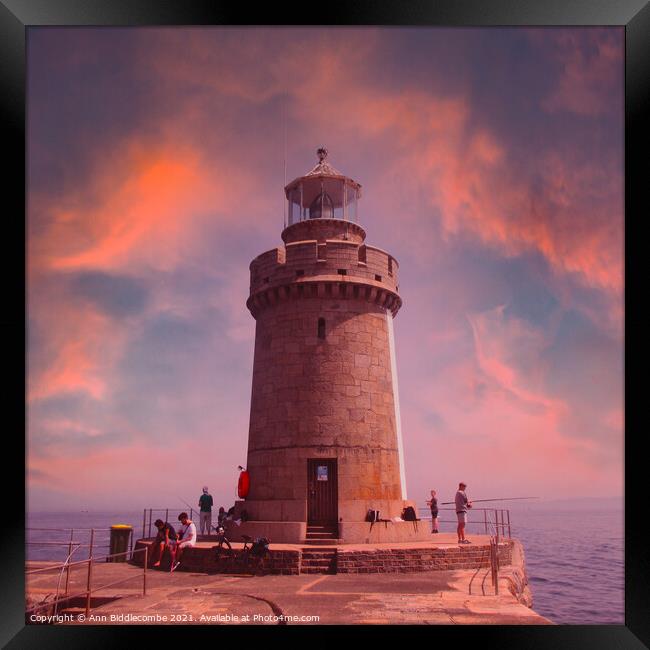 Close up of Guernsey Lighthouse Framed Print by Ann Biddlecombe