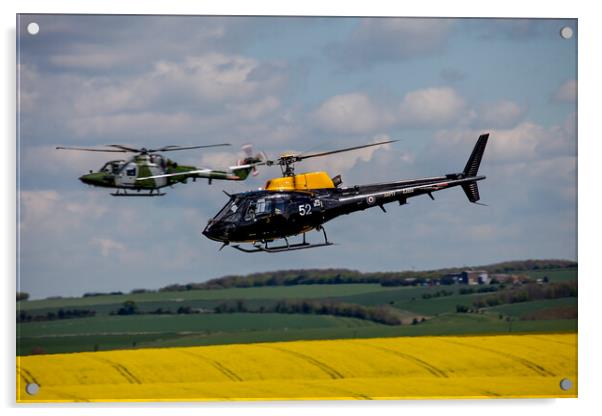 AAC Lynx and Squirrel Helicopter Acrylic by Oxon Images