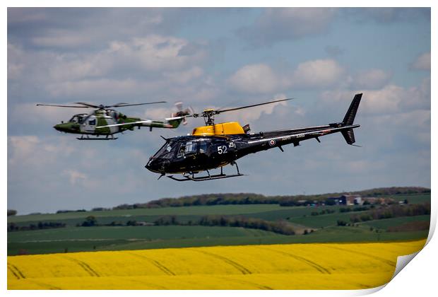 AAC Lynx and Squirrel Helicopter Print by Oxon Images