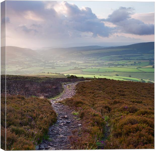 Dunkery Hill Sunrise Canvas Print by Andrew Wheatley