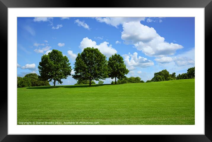 Trees on Hill in Park Framed Mounted Print by Darryl Brooks