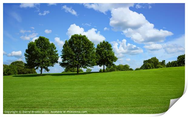 Trees on Hill in Park Print by Darryl Brooks