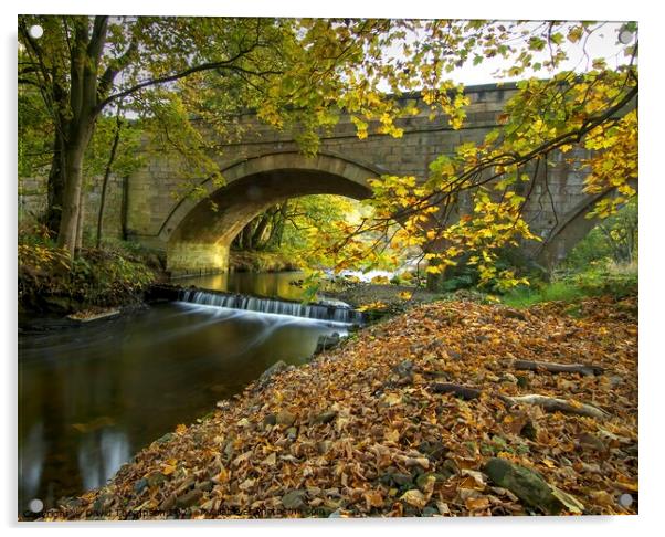 Mitford Northumberland Lowford Bridge  Acrylic by David Thompson