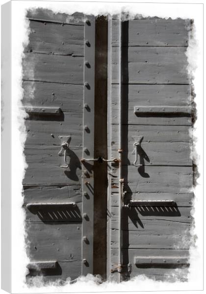 Grey Doors Canvas Print by Steve de Roeck