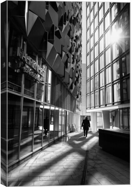 Alone in the City Canvas Print by David Semmens