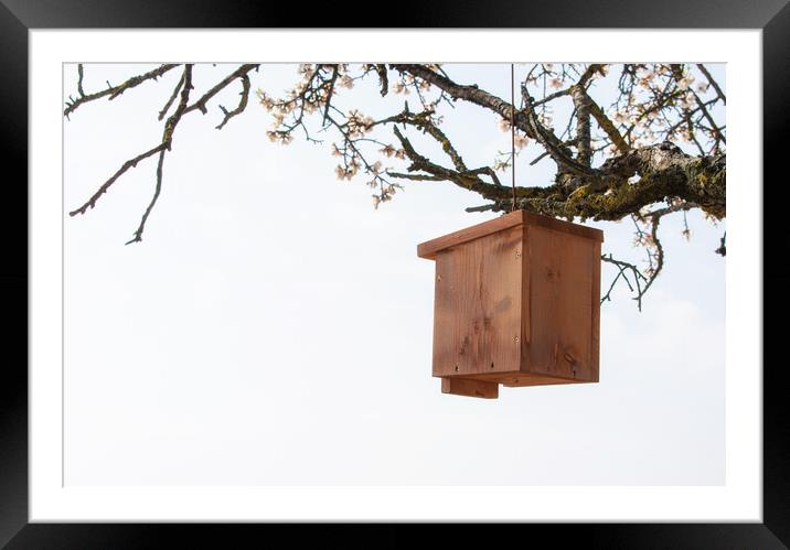 nice wooden birdhouse hanging from a tree Framed Mounted Print by David Galindo