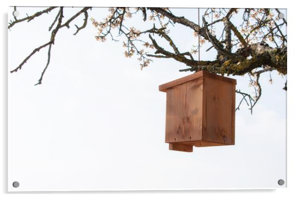 nice wooden birdhouse hanging from a tree Acrylic by David Galindo