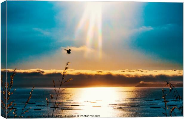 Majestic Seagull in Flight Canvas Print by Jesus Martínez