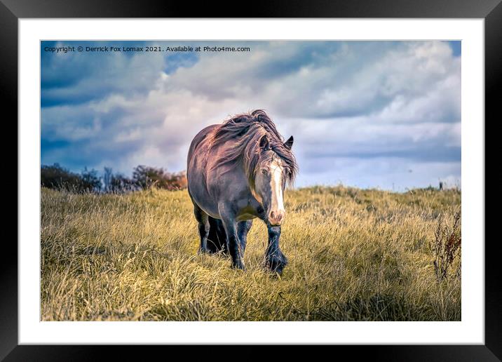 Horse in Birtle Lancashire Framed Mounted Print by Derrick Fox Lomax