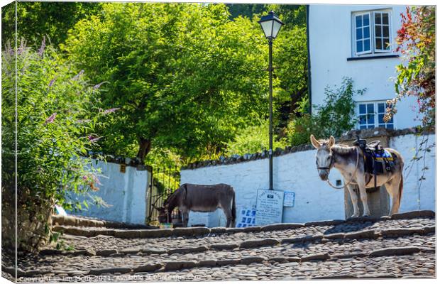 Clovelly Donkeys Canvas Print by Jim Monk