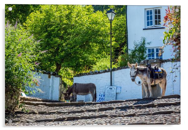 Clovelly Donkeys Acrylic by Jim Monk