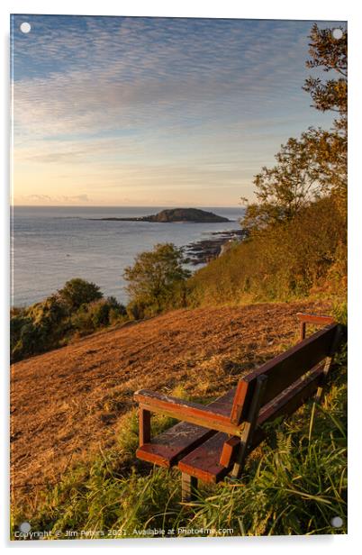 Wooden bench overlooking Looe bay & Looe island in the early morning sun Acrylic by Jim Peters