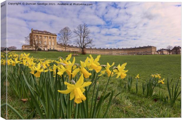 Bath Royal Crescent spring daffodils  Canvas Print by Duncan Savidge