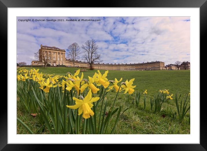 Bath Royal Crescent spring daffodils  Framed Mounted Print by Duncan Savidge
