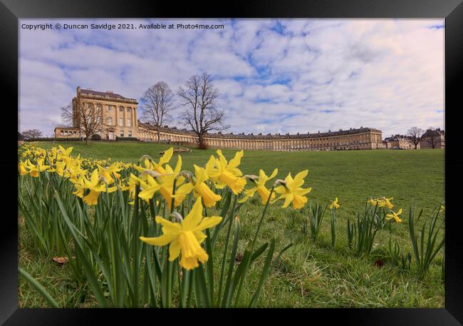 Bath Royal Crescent spring daffodils  Framed Print by Duncan Savidge
