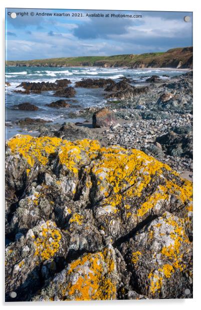 Penllech beach, Llyn Peninsula, North Wales Acrylic by Andrew Kearton