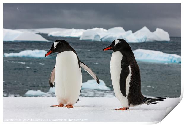 Gentoo Penguins On The Ice Print by Steve de Roeck