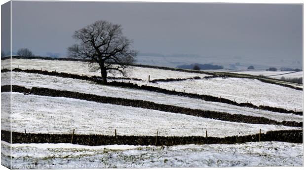 Fields near Magpie Mine in Winter Canvas Print by Chris Drabble