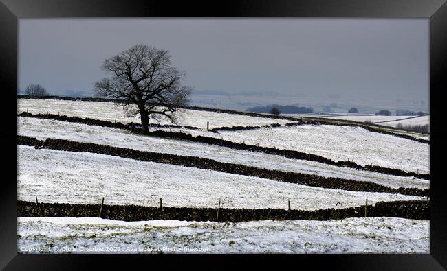 Fields near Magpie Mine in Winter Framed Print by Chris Drabble
