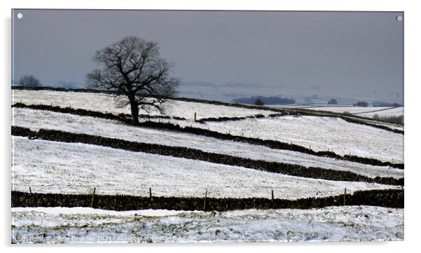 Fields near Magpie Mine in Winter Acrylic by Chris Drabble