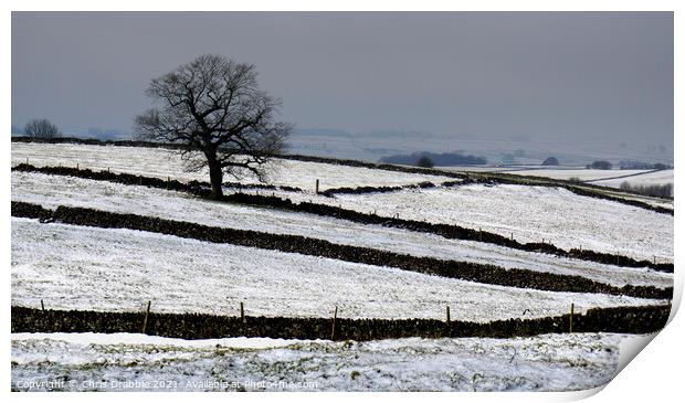 Fields near Magpie Mine in Winter Print by Chris Drabble
