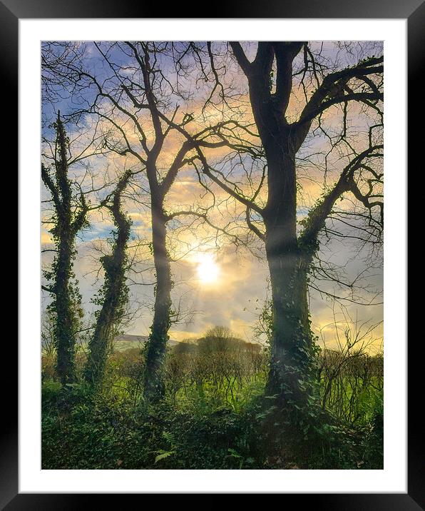 Pembrokeshire Sunset Framed Mounted Print by Mark Llewellyn