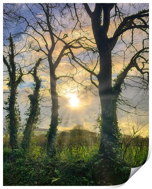 Pembrokeshire Sunset Print by Mark Llewellyn