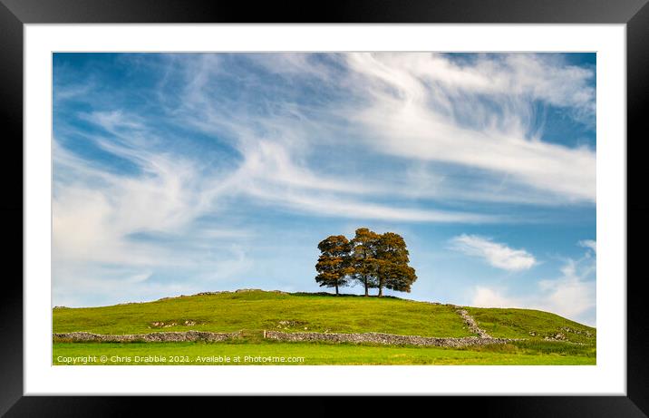 Hall Dale trees Framed Mounted Print by Chris Drabble