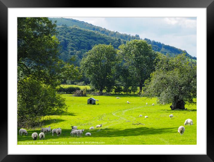 Serene Shropshire Hills Framed Mounted Print by Janet Carmichael