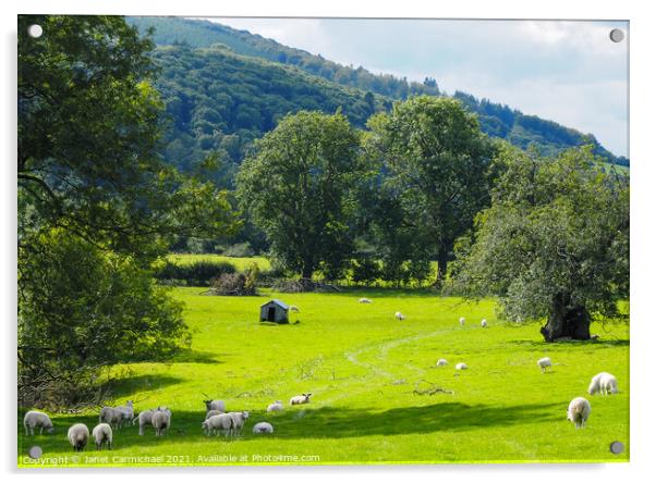Serene Shropshire Hills Acrylic by Janet Carmichael