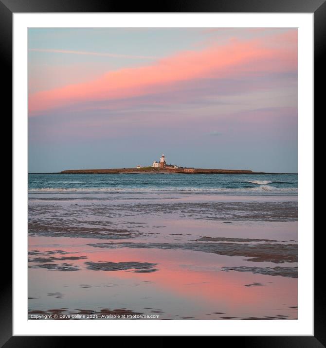 Coquet Island, Northumberland Framed Mounted Print by Dave Collins