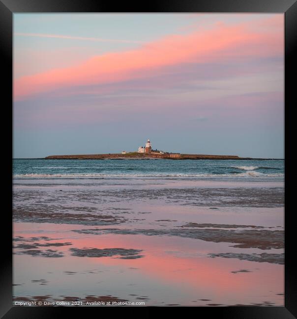 Coquet Island, Northumberland Framed Print by Dave Collins